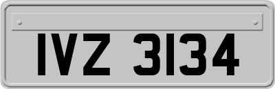 IVZ3134