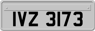 IVZ3173