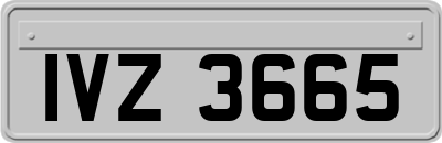 IVZ3665