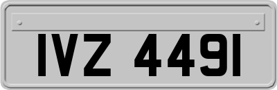 IVZ4491