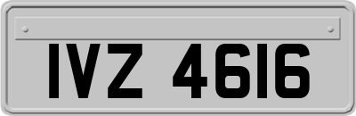 IVZ4616