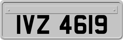 IVZ4619