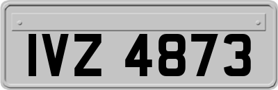 IVZ4873