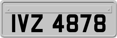 IVZ4878