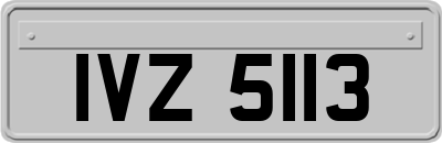 IVZ5113