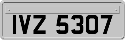 IVZ5307