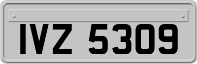 IVZ5309