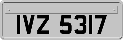 IVZ5317