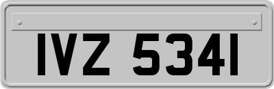 IVZ5341