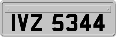 IVZ5344