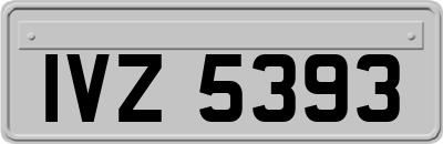 IVZ5393