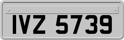 IVZ5739