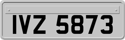 IVZ5873