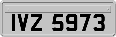 IVZ5973