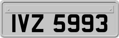 IVZ5993