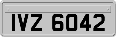 IVZ6042