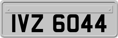 IVZ6044