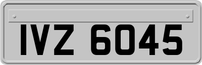 IVZ6045