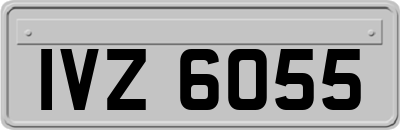 IVZ6055