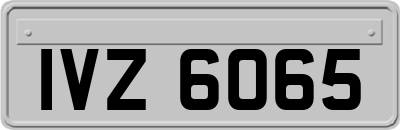 IVZ6065