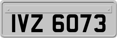 IVZ6073