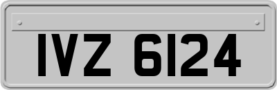IVZ6124