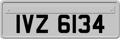 IVZ6134