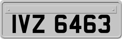 IVZ6463