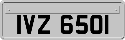 IVZ6501