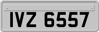 IVZ6557