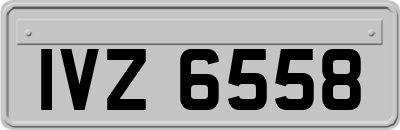IVZ6558