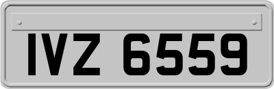 IVZ6559