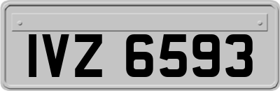 IVZ6593
