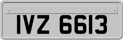 IVZ6613