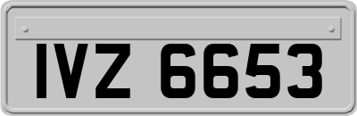 IVZ6653