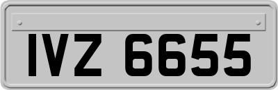 IVZ6655