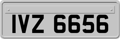 IVZ6656