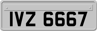 IVZ6667