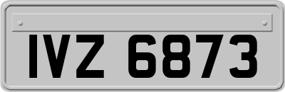 IVZ6873