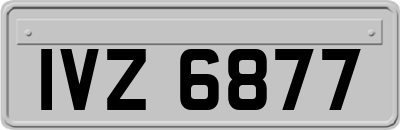 IVZ6877