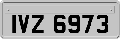 IVZ6973