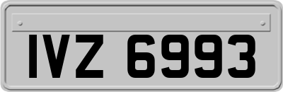 IVZ6993