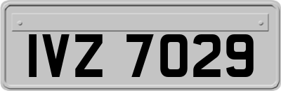 IVZ7029