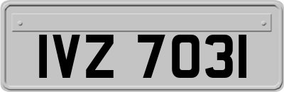 IVZ7031