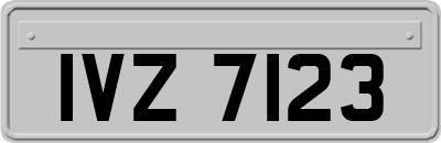 IVZ7123