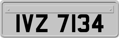IVZ7134