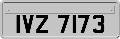 IVZ7173