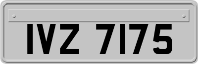 IVZ7175