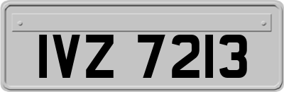 IVZ7213