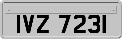 IVZ7231